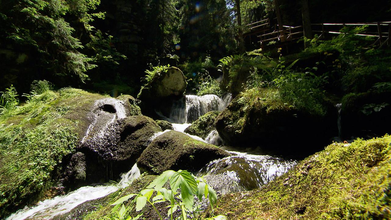 „Unser Österreich: Schluchten, Klammen, Wasserfälle – Wilde Wasser in Niederösterreich“